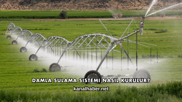 Damla Sulama Sistemi Nasıl Kurulur?