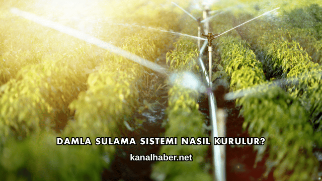 Damla Sulama Sistemi Nasıl Kurulur?