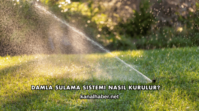Damla Sulama Sistemi Nasıl Kurulur?