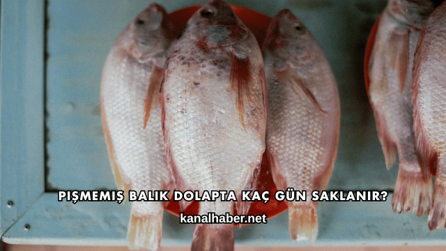 Pişmemiş Balık Dolapta Kaç Gün Saklanır?