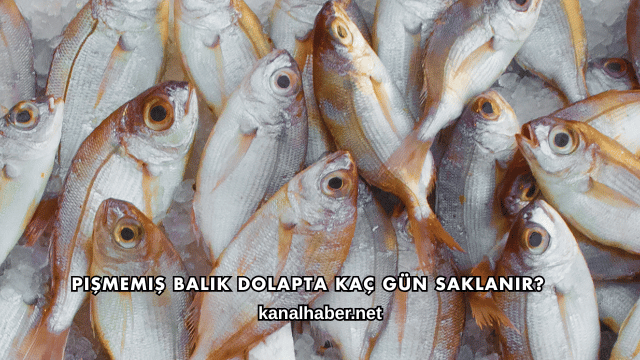 Pişmemiş Balık Dolapta Kaç Gün Saklanır?
