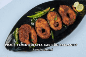 Pişmiş Yemek Dolapta Kaç Gün Saklanır?