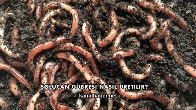 Solucan Gübresi Nasıl Üretilir?