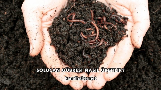 Solucan Gübresi Nasıl Üretilir?