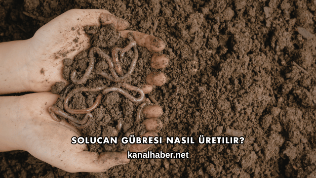 Solucan Gübresi Nasıl Üretilir?