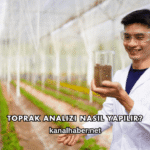 Toprak Analizi Nasıl Yapılır?