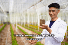 Toprak Analizi Nasıl Yapılır?