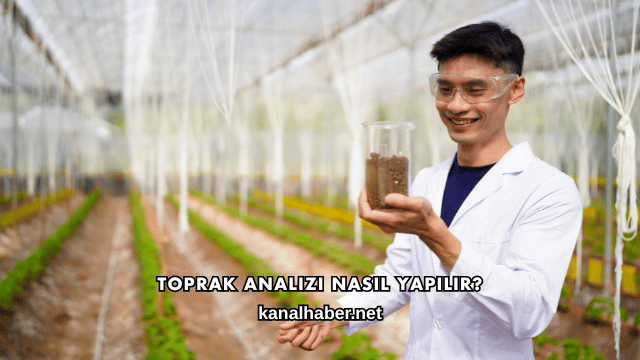 Toprak Analizi Nasıl Yapılır?
