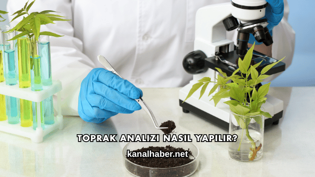 Toprak Analizi Nasıl Yapılır?