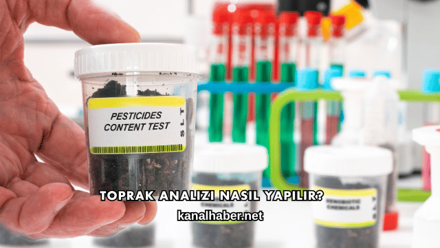 Toprak Analizi Nasıl Yapılır?