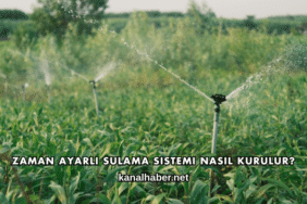 Zaman Ayarlı Sulama Sistemi Nasıl Kurulur?